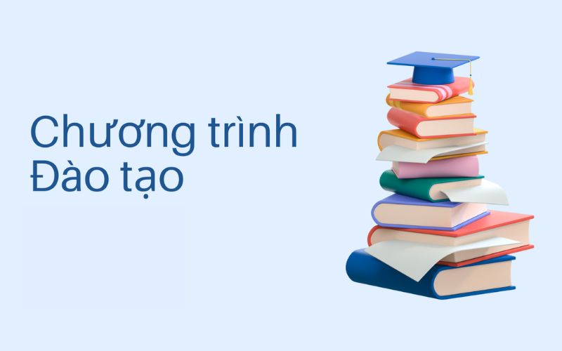 chương trình đào tạo