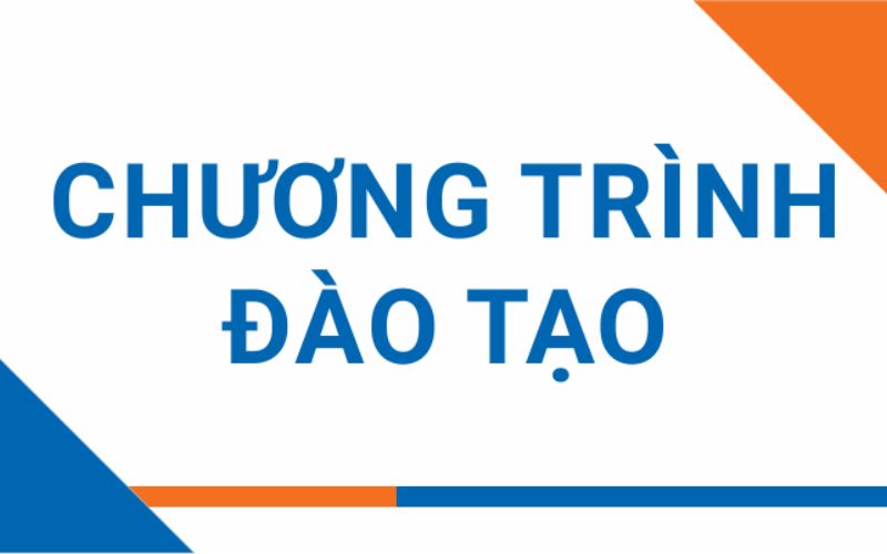 chương trình đào tạo